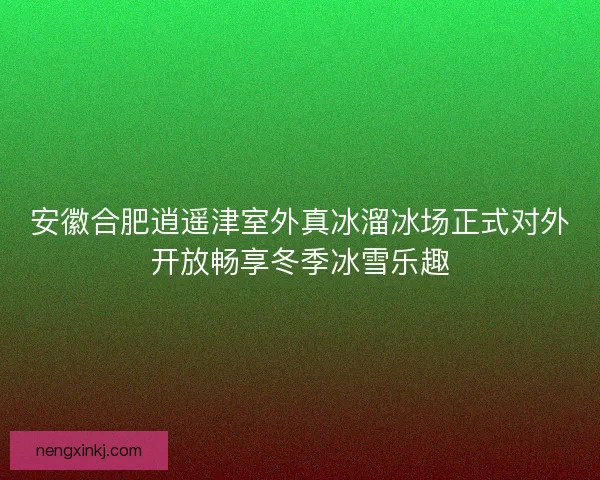 安徽合肥逍遥津室外真冰溜冰场正式对外开放畅享冬季冰雪乐趣