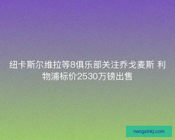 纽卡斯尔维拉等8俱乐部关注乔戈麦斯 利物浦标价2530万镑出售