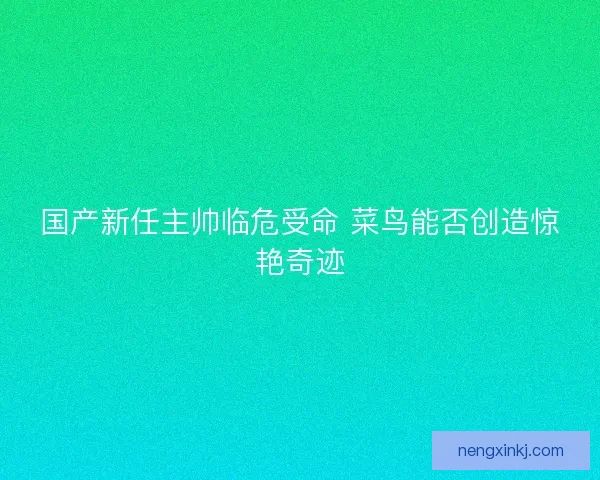 国产新任主帅临危受命 菜鸟能否创造惊艳奇迹